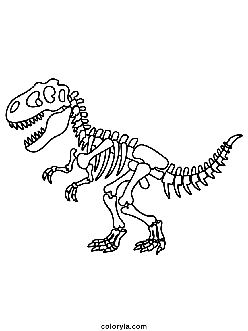 Un fossile de squelette de dinosaure complet montrant tous les détails anatomiques du crâne à la queue.