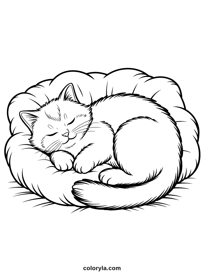 A long-haired cat asleep on a cushion, curled in a ring with its tail wrapped around, a free cat coloring page in A4.