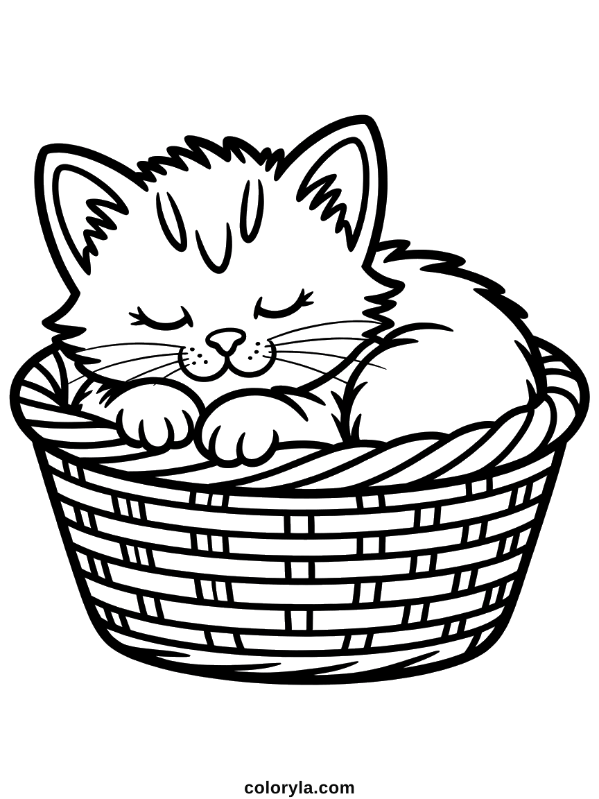 Asleep in a woven basket with its chin resting on the rim and eyes closed, a free kitten coloring page to print in A4.