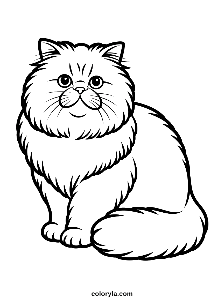 Sitting square on with a flat face, round eyes and a long coat drawn strand by strand, a free Persian cat coloring page in A4.
