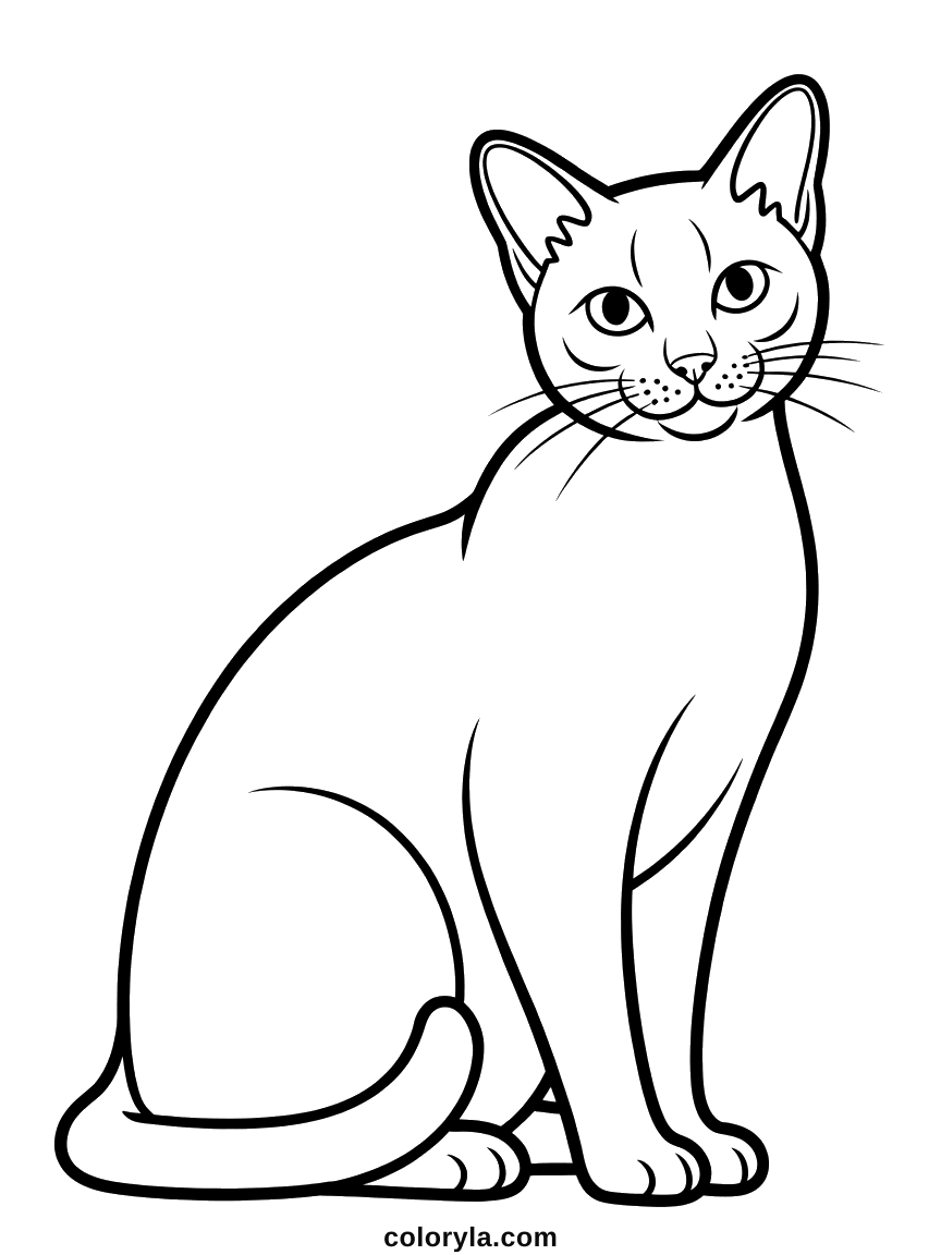 Sitting upright with large pointed ears, a slender body and a long tail laid flat, a free Siamese cat coloring page in A4.