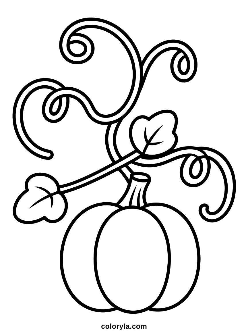 One small pumpkin on a vine, a Halloween coloring page, winding across more of the page than the pumpkin.