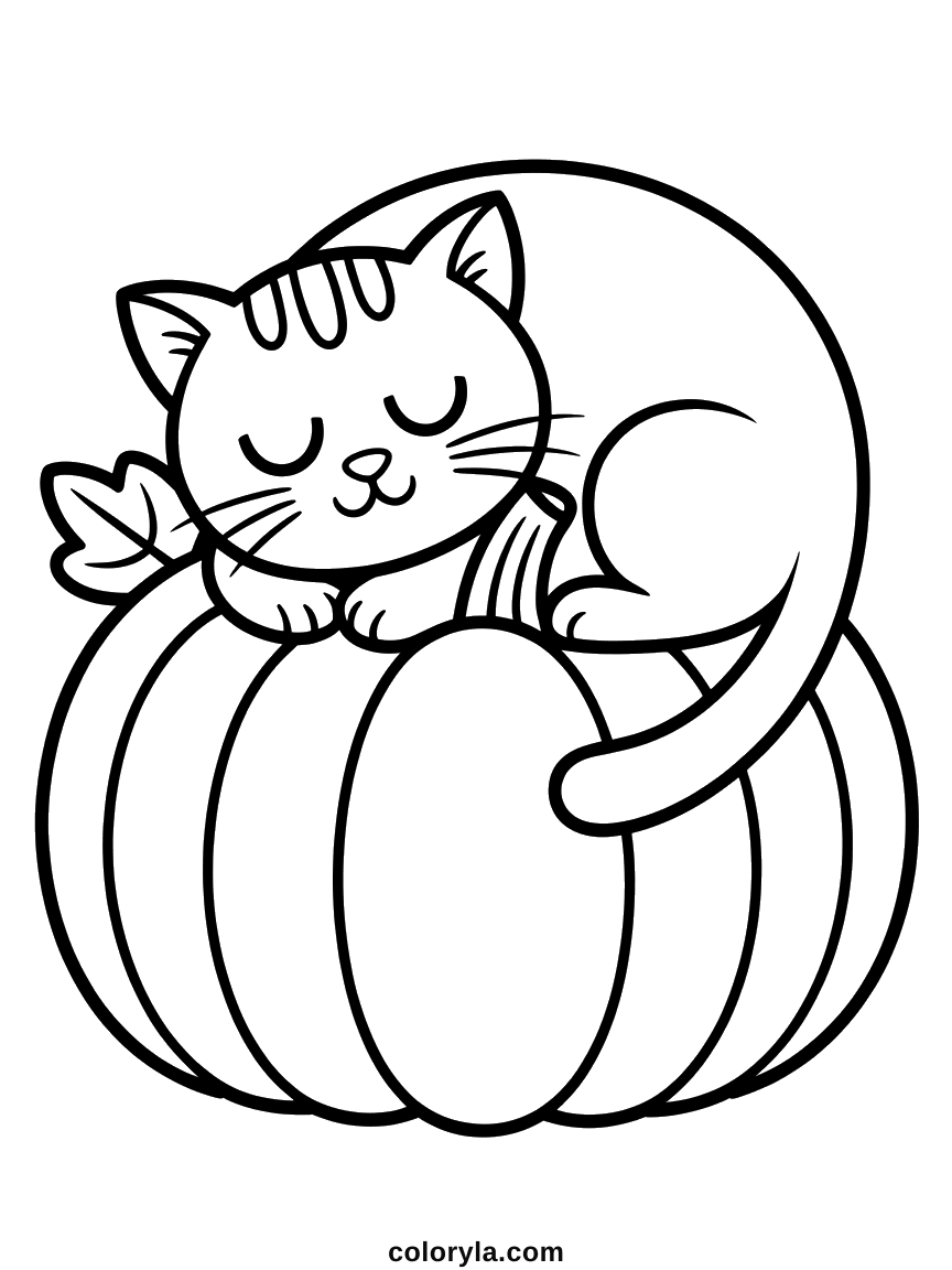 A cat curled asleep on a pumpkin: a cute free Halloween coloring page for kids to print at home on A4.